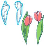 Тюльпаны 2 шт вырубки с трафаретом 11,5*3,5 см (TR-2)