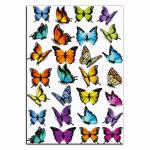 Бабочки разноцветные 3 вафельная картинка