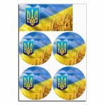 Флаг Украины вафельная картинка для бенто