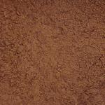 Какао порошок алкализированый  Ecom Cocoa Tulip 10-12% (Нидерланды) (500 гр.)