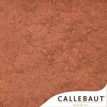 Какао порошок Barry Callebaut алкализированный 10-12% DCP-10R118 (вес) (100 гр.)