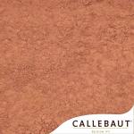 Какао порошок Barry Callebaut натуральный 10-12% NCP-10C101 (вес) (100 гр.)