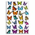 Бабочки разноцветные 3 вафельная картинка фото