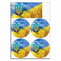 Флаг Украины вафельная картинка для бенто фото