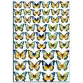 Бабочки желто-голубые вафельная картинка NS фото