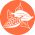 Какао бобы