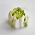 50-13 Тюльпан насадка кондитерская гигант Роза Астра 5 см (3D) (фото 4 из 5)