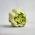 50-13 Тюльпан насадка кондитерская гигант Роза Астра 5 см (3D) (фото 5 из 5)