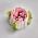 50-14 Тюльпан насадка кондитерская гигант Роза Бриллиант 5 см (3D) (фото 4 из 5)
