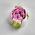 50-16 Тюльпан насадка кондитерская гигант Роза Остина 5 см (3D) (фото 4 из 5)