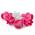 Плунжер для мастики Цветок, Пуговица, Круг, Звезда, Сердце 5шт (фото 2 из 2)