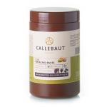 Паста фисташковая Callebaut Pure Pistachio Paste NPO-PI1-T62 1 кг фото