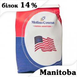 Борошно Molino Cosma Manitoba (Манітоба Тип 0) білок 14% 5 кг Борошно Molino Cosma Manitoba (Манітоба Тип 0) білок 14% 5 кг