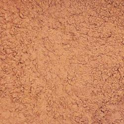 Какао порошок натуральный Ecom Cocoa Dutch 10-12% (Германия) (500 гр.)