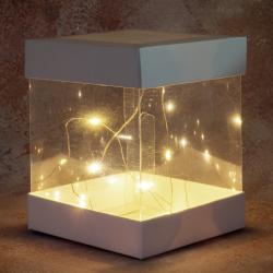 Гірлянда світлодіодна Теплий білий 1 метр Гірлянда світлодіодна Теплий білий 1 метр