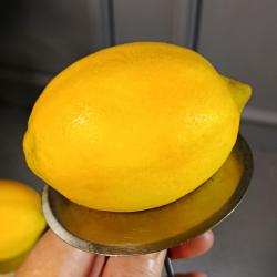 3Д Молд Лимон 80*60*45 мм (Mold-1)