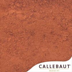 Какао порошок Cacao Barry алкализированный Extra Brut 22% (вес) (100 гр.)