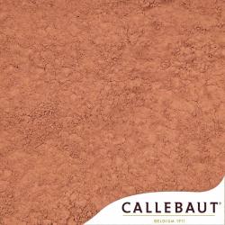 Какао порошок Barry Callebaut натуральный 10-12% NCP-10C101 (вес) (100 гр.)