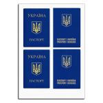 Паспорт вафельная картинка