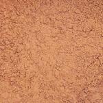 Какао порошок натуральный Ecom Cocoa Dutch 10-12% (Германия) (500 гр.)