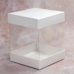 Упаковка Акваріум 100*100*120 Kor