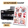 Сахарная картинка А4 индивидуальный макет MAX