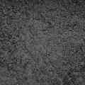 Какао порошок ЧЕРНЫЙ Bensdorp BLACK 10/12% (100 гр.)