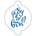 Boy or Girl трафарет для торта 11*16 см (TR-4) фото