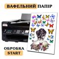 Вафельная картинка А4 с обработкой Start
