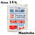 Борошно Molino Cosma Manitoba (Манітоба Тип 0) білок 14% 5 кг Борошно Molino Cosma Manitoba (Манітоба Тип 0) білок 14% 5 кг