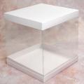 Упаковка Аквариум для торта 250*250*250 мм