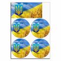 Флаг Украины вафельная картинка для бенто