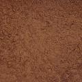 Какао порошок алкализированый  Ecom Cocoa Tulip 10-12% (Нидерланды) фото