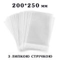 Пакет с липкой лентой 200*250 мм для упаковки Пряников 25 мкм (100 шт)