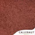 Какао порошок Barry Callebaut алкализированный полножирный 22-24% (вес) (100 гр.)
