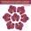 СЛАДО кондитерський декор Орхідея 4 см 7 шт.